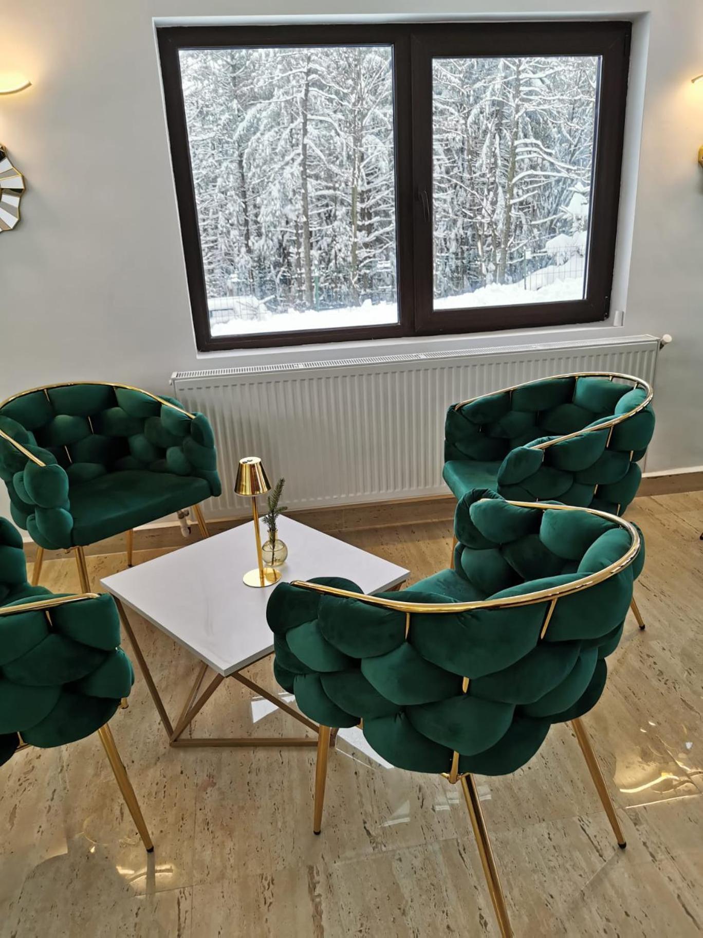 Cerbul Chalet Accommodation & Wellness Rîşnov Extérieur photo
