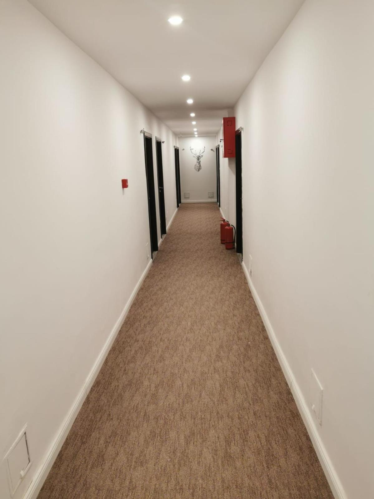 Cerbul Chalet Accommodation & Wellness Rîşnov Extérieur photo