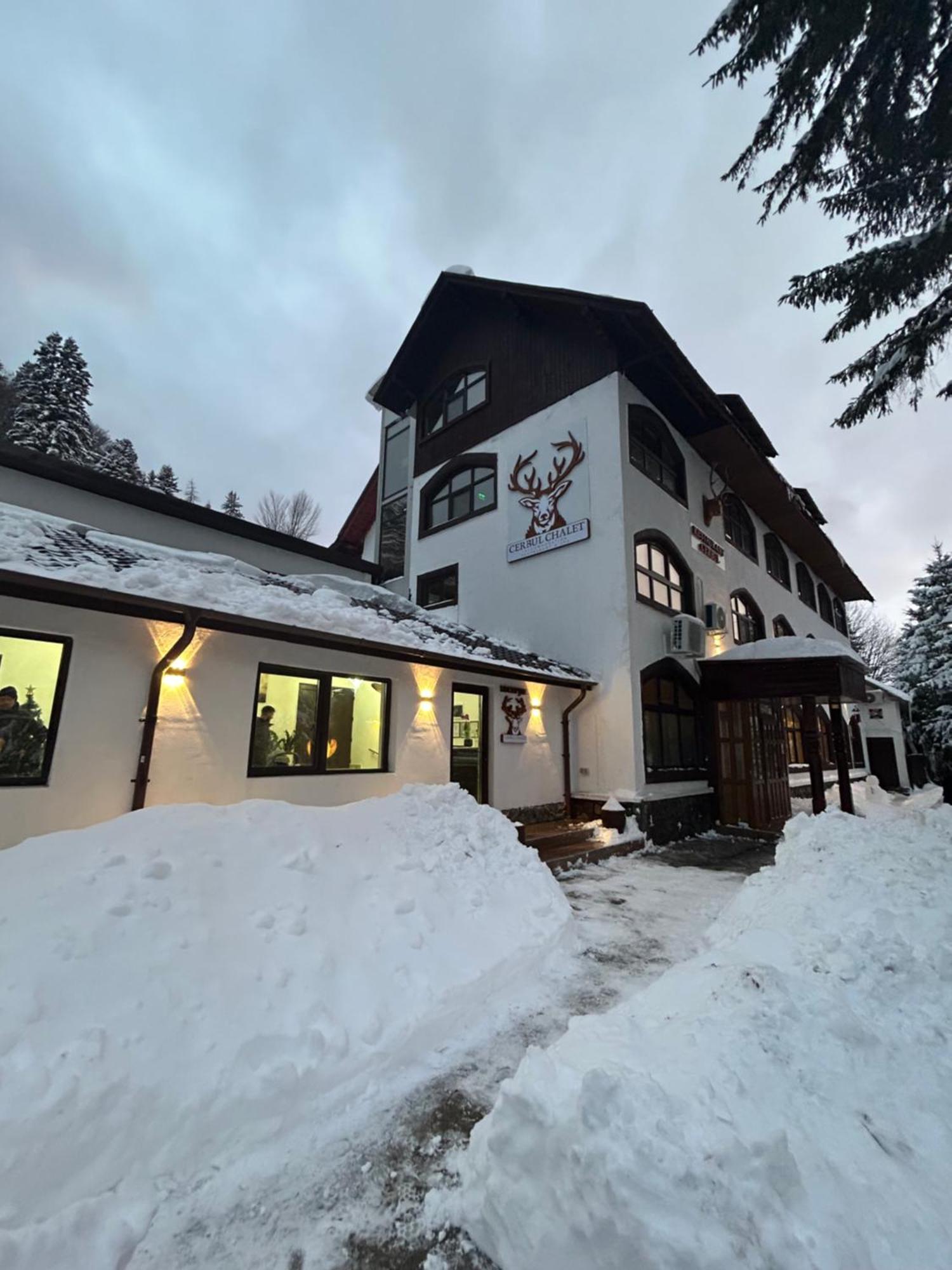 Cerbul Chalet Accommodation & Wellness Rîşnov Extérieur photo