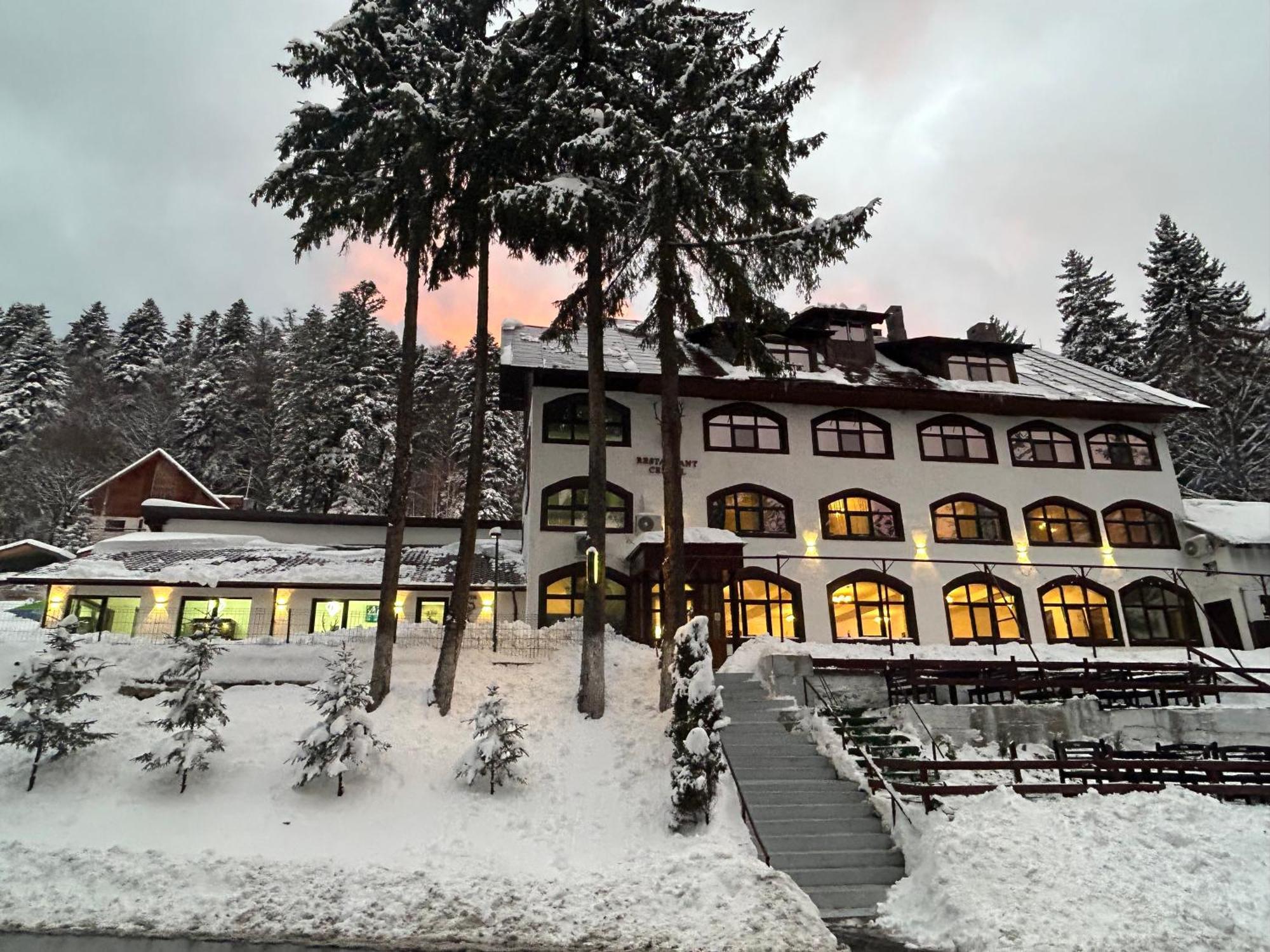 Cerbul Chalet Accommodation & Wellness Rîşnov Extérieur photo