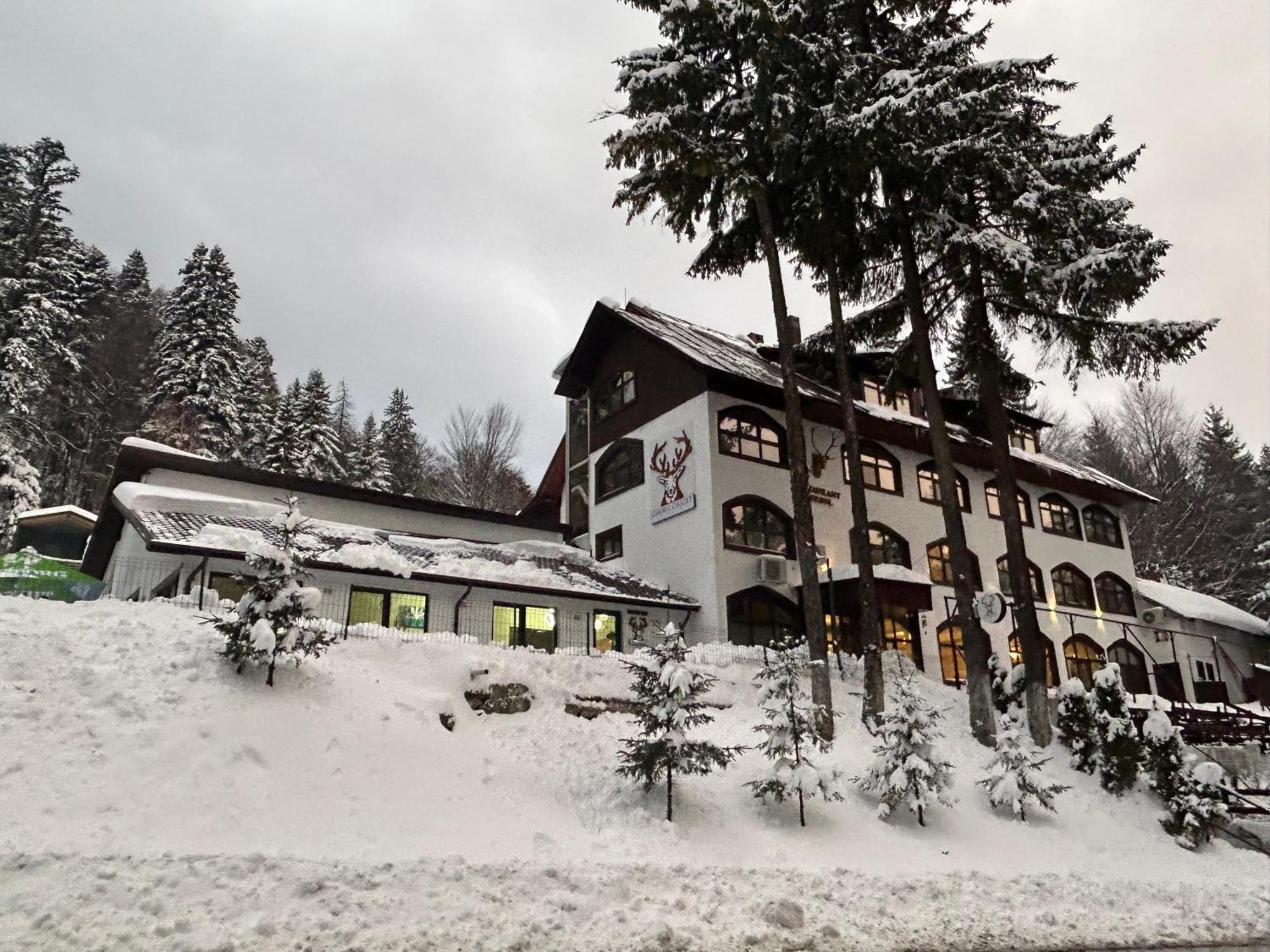 Cerbul Chalet Accommodation & Wellness Rîşnov Extérieur photo